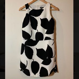 Ann Taylor black and white dress